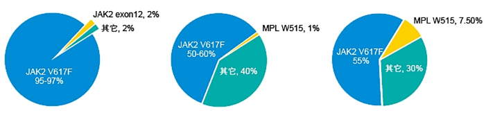 血液病基因检测